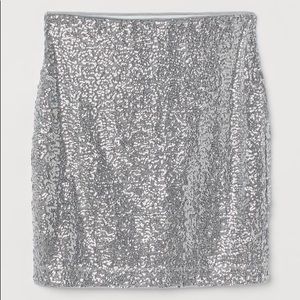 Silvery Shimmery Skirt